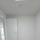 대주한신 이미지