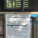 노은전기조명 | 근교 캠핑] 힐링 그 자체였던 계룡산 동학사 야영장 오토캠핑 1박2일 솔직후기! (예약, 명당, 준비물 꿀팁)