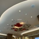 팀홀튼 서울시청점 | [팀홀튼 서울시청점] 오픈 후기 (허니 크롤러 판매 시작)
