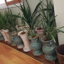 미송갈비탕 이미지