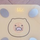 [다이어트 93일째] 스위치온 다이어트 2주차 4일째 -5.6kg, 단식 후 다음날