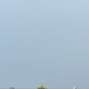 우진문구사