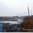 태평태양광발전소 이미지