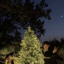 스테이더담 밀양금산점 이미지