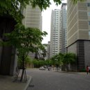 브니엘치과의원 이미지