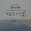 곱다시제주 이미지