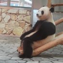소호로L 네이버블로그