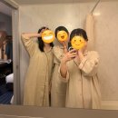 펫리무진택시-하리블랙 | [4월 일본 오사카여행준비] 2박3일 경비 항공 숙소 일정 코디 준비의 모든 것 !