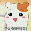 마이치치스 네이버블로그