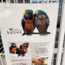 리프패럿여주점