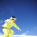 양지의류 이미지