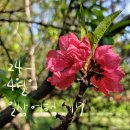 지봉로51번길 이미지