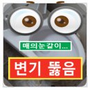 전주첨단코아루1차아파트 이미지
