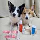 코&태 | (화장품 추천)레디우스 젤 미스트&amp;레디우스 부스트 세렴 사용후기