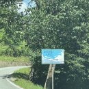 매네미 민박 이미지