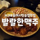 제주도 서귀포맛집 올레시장 술집 생맥주 안주가 맛있는 발랄한맥주제주서귀포점