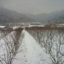 용교 농장 이미지