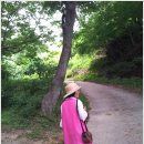 청도 대적사와 와인터널 / 지난주 금요여행은 정말 길었습니다. ^^* 이미지