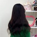 아니마레 | 붙임머리100%내돈내산 월곡동 붙임머리 아니마레 후기