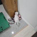 항동푸른숲동물병원 | 난 너를 사랑해 이 세상은 너뿐이야