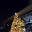 울주공연배달 9회차 | [관극정산] 미친모자장수에게 미친 12월의 나,,,🎩 그리고 2025 정산!!