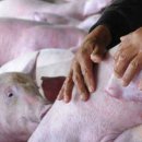 이현 1농장 이미지