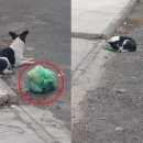 가족이랑개 이미지