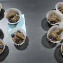 중앙2사슴 이미지