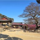 전등사(남문) | 강화 전등사 방문후기, 남문주차장 주차 정보와 삼랑성 숲길 힐링 코스