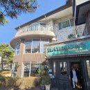 하모니 | 원주 브런치카페 하모니 생일 점심모임 후기