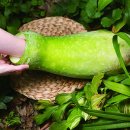 조선의셰프 이미지