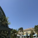 벨라지오호텔 이미지