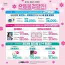 봄 안경 콘텍트 이미지