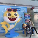 하이페르호텔 | 18개월 아기랑 세부여행 1(카카오트리스파 마사지&amp;0.5박 애플턴호텔)