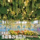 플라워조화장식, 로봇랜드 봄맞이 포토존! 그린식물&amp;플라워 행잉 플랜테리어 및 제작나무