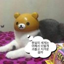 비치탕 이미지