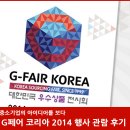 G페어 코리아 2014 행사 관람 후기