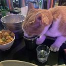 오성맥주 이미지