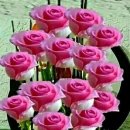 해피데이 이미지