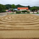 현북초등학교 이미지