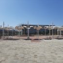 힘찬체육관 이미지