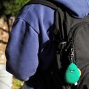 오랜지바다 이미지