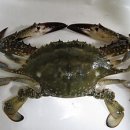 화림산가든 이미지