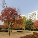 덕천래미안어린이집 이미지