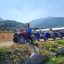 행복한농촌체험휴양마을 이미지