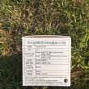 벌문(BeolMoon) | 밸브형 생리컵 살 때 꼼꼼하게 따져보세요