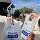 명품간식 | 제주 기념품 간식 ‘제주명품쑥보리빵’ 제주 빵지순례 솔직 후기