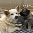 원암 이미지