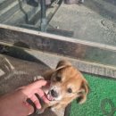 사창리공영주차장2 이미지