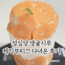 이 맛이 43,000원이라고? 성심당 생귤시루 진짜 최고! 먹어본 리얼 후기